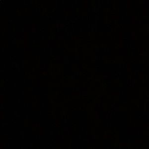 Meet your Posher, Jayla